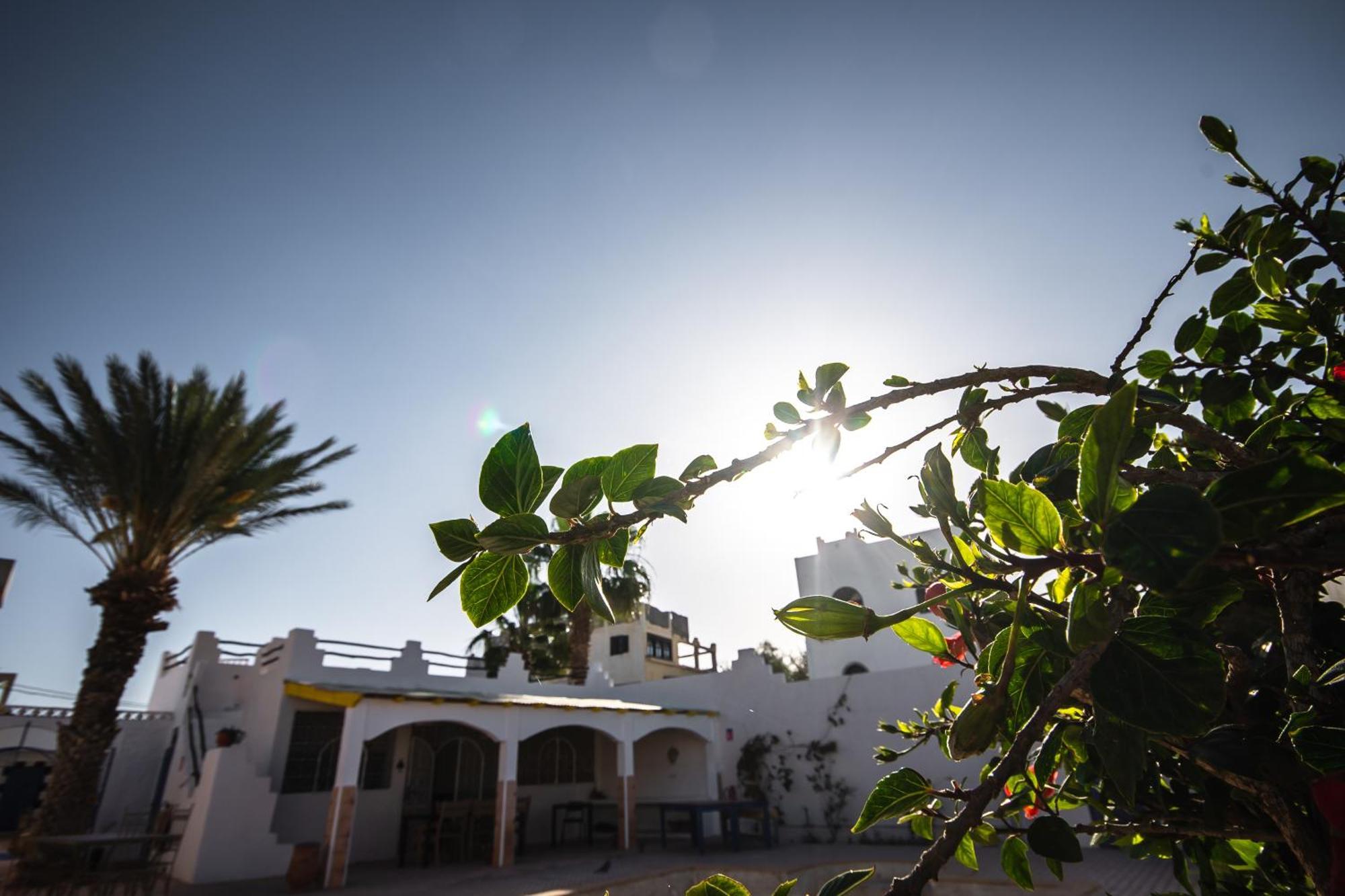 Riad Dar Sarah Taghazout Dış mekan fotoğraf